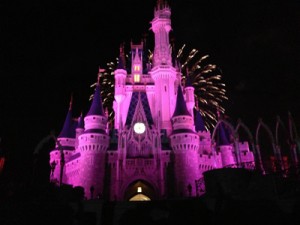 Disney Castle